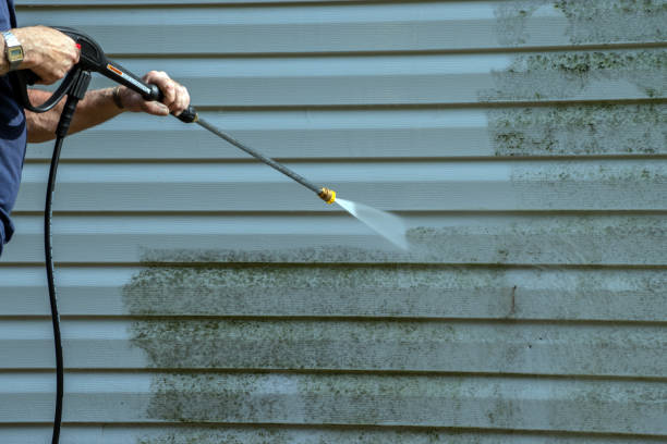 Best Roof Power Washing Services  in Cut Bank, MT